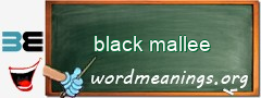 WordMeaning blackboard for black mallee